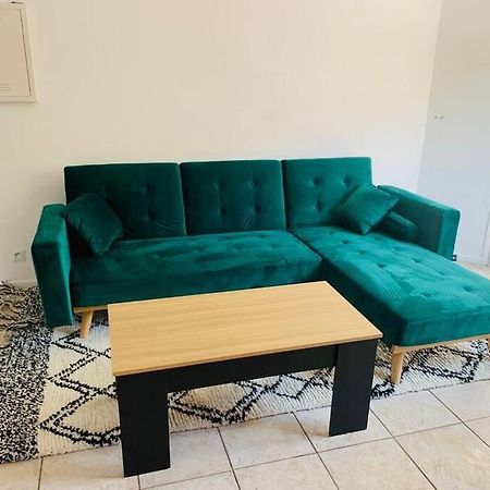 Appartement Rangeuil Toulouse Ngoại thất bức ảnh