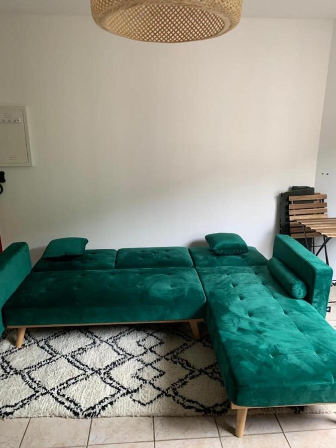 Appartement Rangeuil Toulouse Ngoại thất bức ảnh