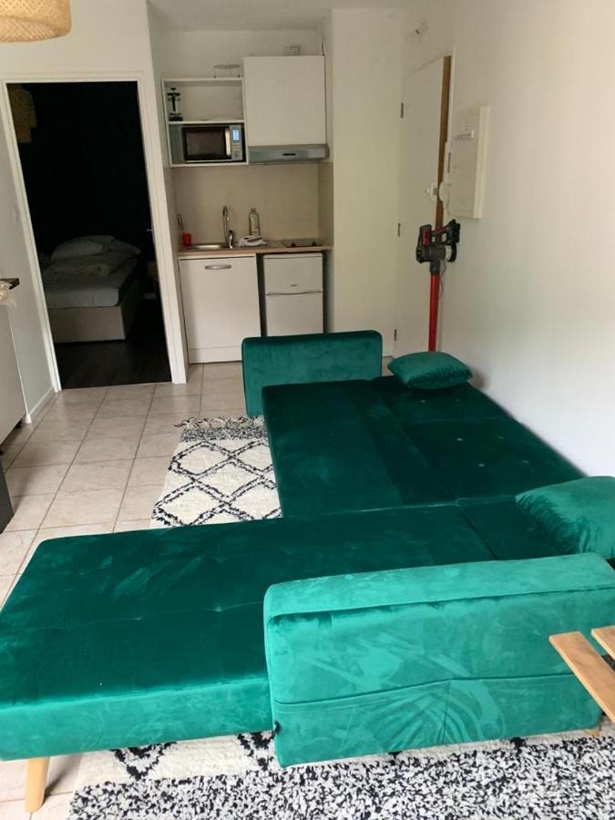 Appartement Rangeuil Toulouse Ngoại thất bức ảnh